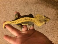 IMG_0014[1].jpg