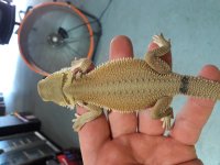 20170619_165203.jpg