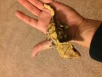 IMG_0015[1].jpg