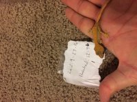 IMG_0016[1].jpg
