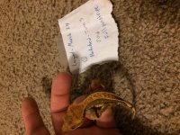 IMG_0020[1].jpg