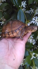IMG_20170423_160849.jpg