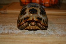DSC_3427.jpg