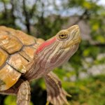 IMG_20170703_182326_266.jpg