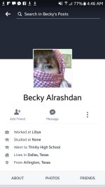 Screenshot_20170717-044601.jpg
