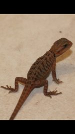 IMG_3025.jpg