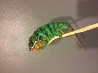 IMG_2702.jpg