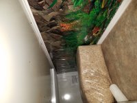 20170319_130146.jpg
