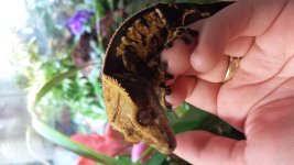 20150625_181418.jpg
