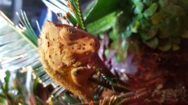 20161009_130339.jpg