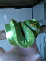 IMG_20170509_073712.jpg