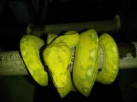 IMG_20170616_184505.jpg