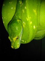 IMG_20170616_184441.jpg