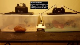 20170202_011334.jpg