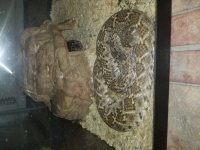 20170419_210538.jpg