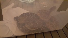 20170126_215944.jpg