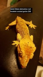20170114_001753.jpg
