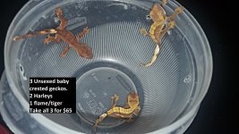 20170214_173950.jpg