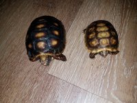 20170608_205320.jpg