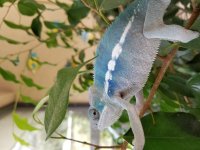 20170703_154827.jpg