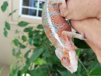 20170703_152943.jpg