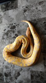 banana 3.jpg