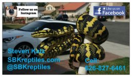 SBKreptiles business card front final.jpg