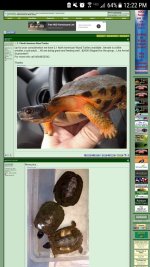 Screenshot_20170717-122242.jpg
