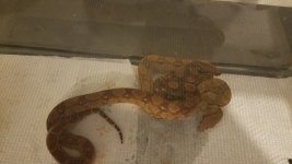 20170610_151833.jpg