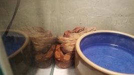 20170612_230921.jpg