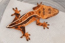 191468_434154_VeryLarge_5aMZOkSsxm4W2.jpg