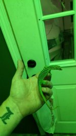 IMG_20170218_205633869.jpg