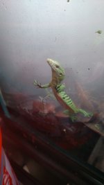 IMG_20170217_111033976.jpg