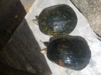 20170419_150105.jpg