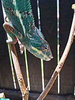 IMG_2127.jpg