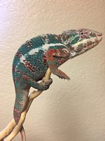 IMG_2312.jpg