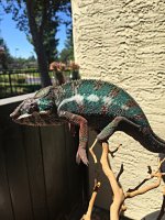 IMG_2296.jpg