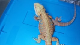IMG_20170401_150103.jpg