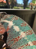IMG_2297.jpg