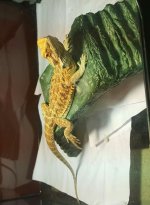20170516_213448.jpg