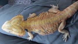 20170830_131240.jpg