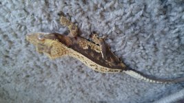 20151021_173311.jpg