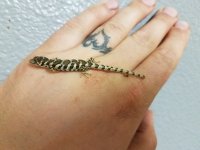 20170504_212623.jpg