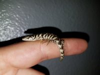 20170504_212555.jpg