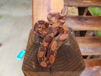 20170619_095115.jpg