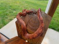 20170619_095346.jpg