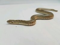 20170227_155047.jpg