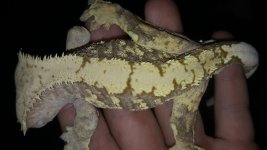 20170704_183229.jpg