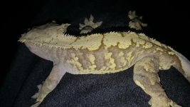 20170704_182944.jpg