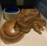 FullSizeRender[2].jpg